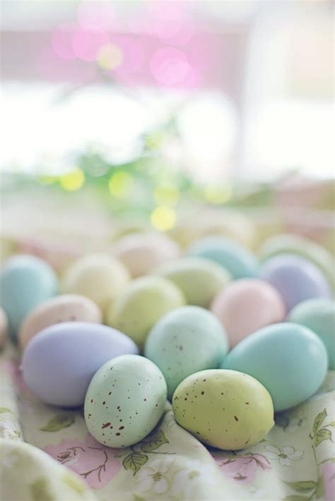 Cara Mudah Membuat Jamu Telur Bebek Dan Madu Super Berkhasiat